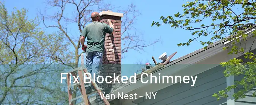 Fix Blocked Chimney Van Nest - NY
