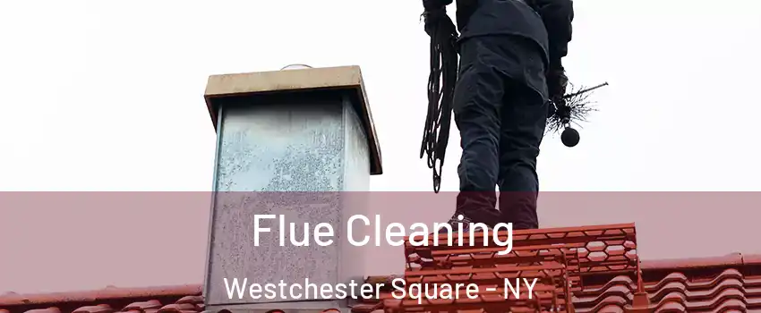 Flue Cleaning Westchester Square - NY
