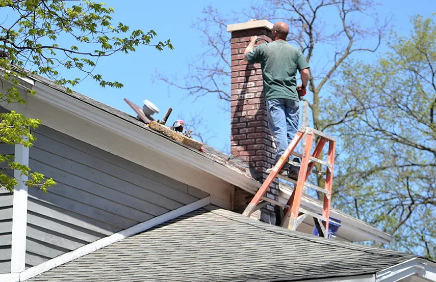 Chimney & Fireplace Inspections Services in Bronx, NY
