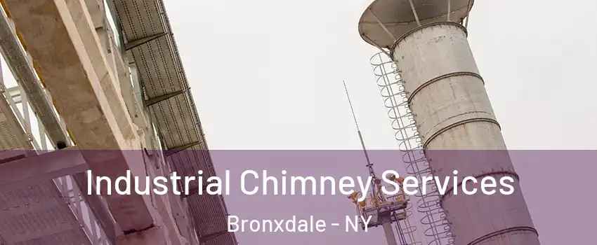 Industrial Chimney Services Bronxdale - NY