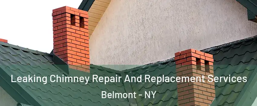 Leaking Chimney Repair And Replacement Services Belmont - NY