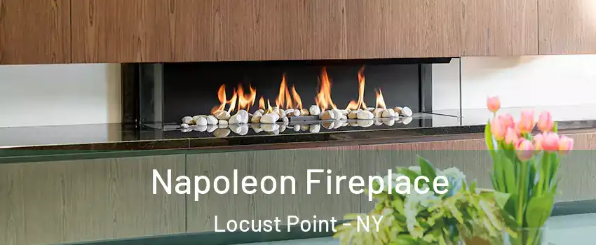 Napoleon Fireplace Locust Point - NY