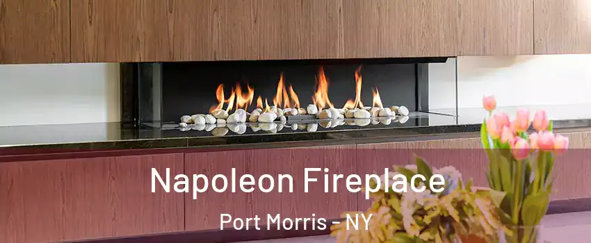 Napoleon Fireplace Port Morris - NY