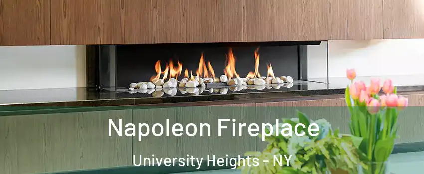 Napoleon Fireplace University Heights - NY