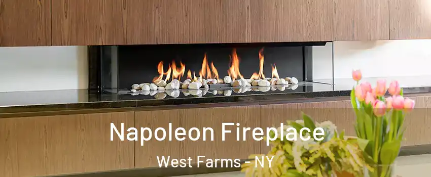 Napoleon Fireplace West Farms - NY