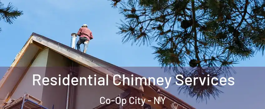 Residential Chimney Services Co-Op City - NY