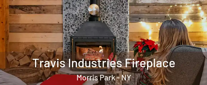 Travis Industries Fireplace Morris Park - NY