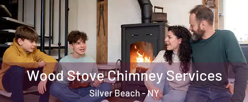 Wood Stove Chimney Services Silver Beach - NY