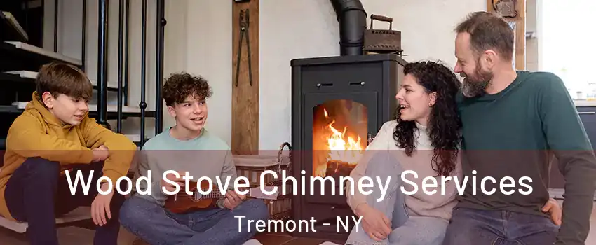 Wood Stove Chimney Services Tremont - NY